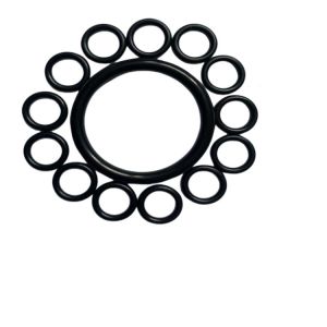 Customized FKM NBR O-Ring/Seals in Various Colors for Industrial Applications