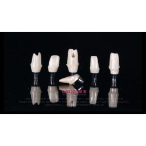 Buy cheap Custom Implant Abutment from wholesalers