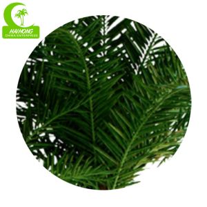 Buy cheap Luxury 400cm Artificial Tropical Tree For Garden Landscaping from wholesalers