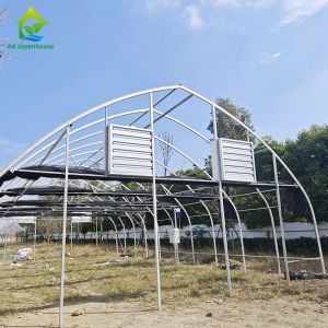 Buy cheap Single-span Polytunnel Plastic Film Galvanized Steel Skeleton Agricultural Tomato Greenhouse from wholesalers