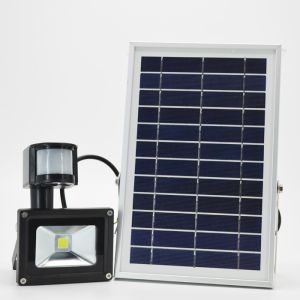 China High quality IP65 Solar Powered Motion Sensor COB Flood Light with high lumen on sale
