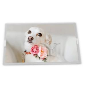 Buy cheap Tft 7 Inch Wled Backlight Lcd Display TM07ORDSG01-00 Panel from wholesalers