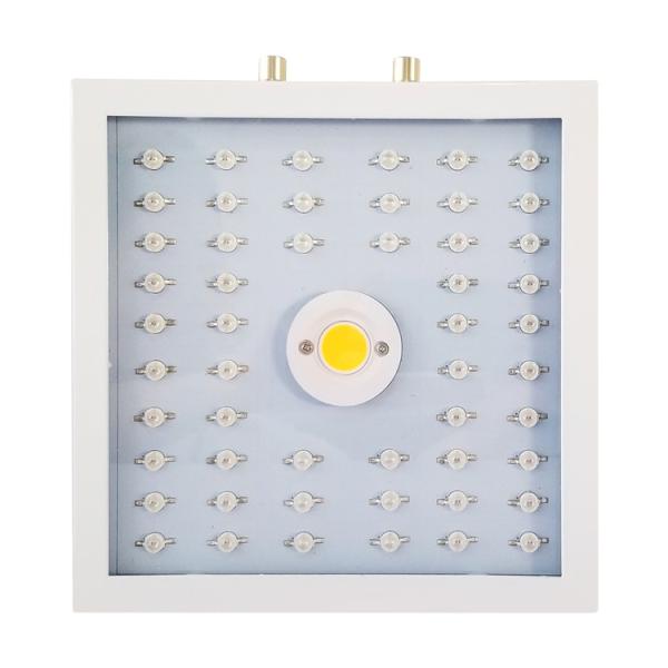 Quality Square Decorative Grow Lights Indoor Plants , Quantum Board Grow Light for sale