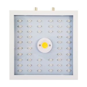 Buy cheap Square Decorative Grow Lights Indoor Plants , Quantum Board Grow Light from wholesalers