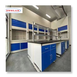 Buy cheap Fast Installation Chemistry Lab Furniture with Customization Options from wholesalers