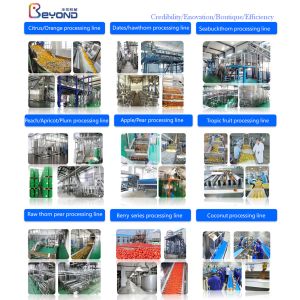 SGS 1000LPH Egg Liquid Juice Pasteurization Equipment With Touch Screen