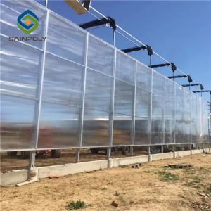 Buy cheap Hot Dipped Galvanized Steel 7.5m Polycarbonate Greenhouse from wholesalers
