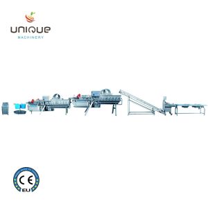 Buy cheap Fruit and Vegetables Vegetable Salad Washing Line with 5000 KG Processing Efficiency from wholesalers