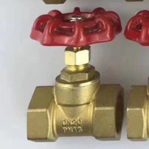 Precise Female BSP Thread ANSI CS Gate Valve Medium Pressure
