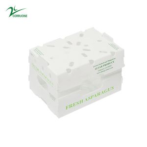 Buy cheap Corruone Waterproof Folding Polypropylene  Corrugated Plastic Fruits Vegetables Asparagus/Ginger/Taro/Okra Packing box from wholesalers