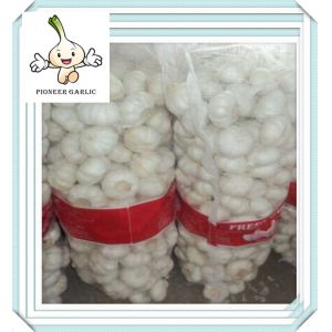 Buy cheap nature garlic fresh ginger and garlic white Dry Garlic from wholesalers
