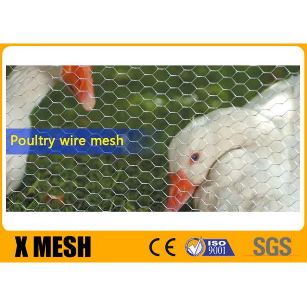 Quality Acid Resistance 20Ga Stainless Steel Chicken Wire Fence Poultry Netting for sale