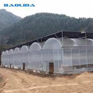 Buy cheap Side Ventilation Clear Multi Span Greenhouse With Outside Shading System from wholesalers
