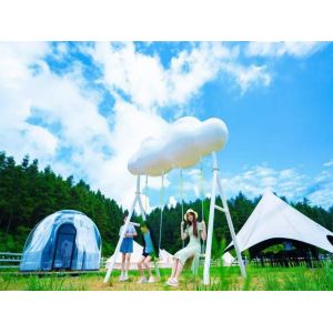 Non Powered Plastic Inclusive Swing White Childs Garden Swing Amusement Park