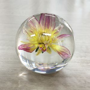 Buy cheap Home decoration craft acrylic paperweight with real flower inside dry flowers for resin art crystal paperweights from wholesalers