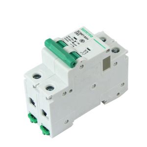 125Amp 100A 8KA SCB8T MCB Circuit Breakers