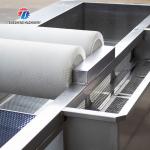 250KG Fruit and vegetable washing machine automatic sterilization washing