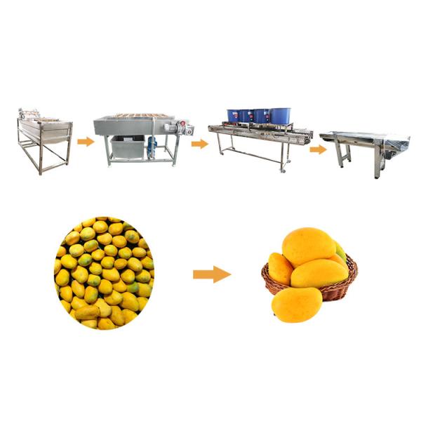 Buy cheap Hot selling New Fruit Washer With High Quality And Best Price by Huafood from wholesalers