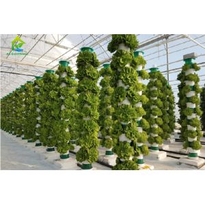 Buy cheap Soilless Cultivation NFT Hydroponic System For Celery Parsley from wholesalers