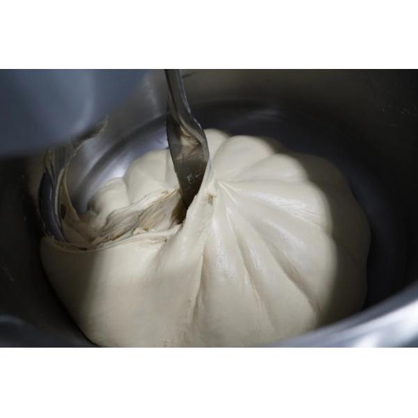 Quality 260 Pound Domestic Spiral Dough Mixer 4.5kw Industrial Spiral Mixer Dual Speed Digital Control for sale