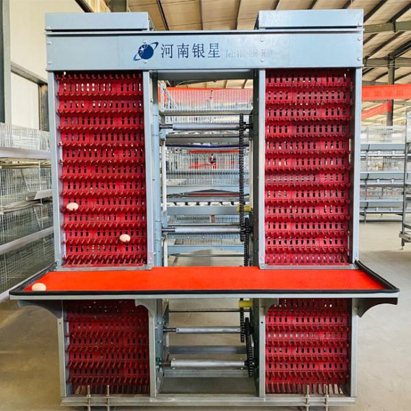Buy cheap Customized Multi Layer Poultry Cage Automatic Egg Collection Cages from wholesalers