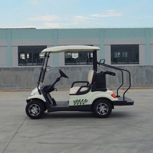 Buy cheap Electric Golf Scooter 6 8 Seats Hunting 2 4 Seater With Curtis Controller from wholesalers