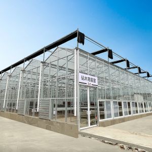 Buy cheap Multi Span Hyroponic Galvanized Float Venlo Greenhouse Glass Agricultural Kits from wholesalers