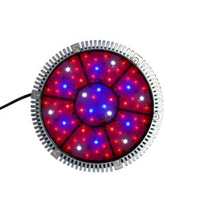 Buy cheap Cidly high power Flower led grow lights 150 Watt from wholesalers