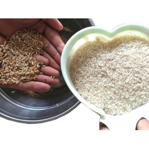 Automatic Intelligent Grain Color Sorter Machine With Excellent Rejection Rate