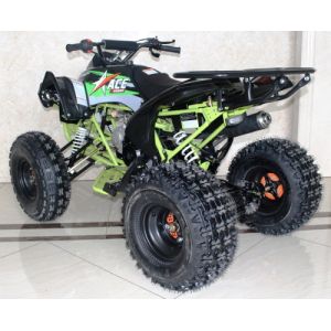 125cc Quad Utility 4 Stroke ATV Fully Auto With Reverse