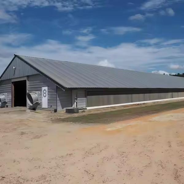 Buy cheap Prefab Steel Structure Chicken House Building , Light Steel Fabricated Building from wholesalers