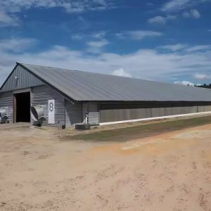 Buy cheap Prefab Steel Structure Chicken House Building , Light Steel Fabricated Building from wholesalers