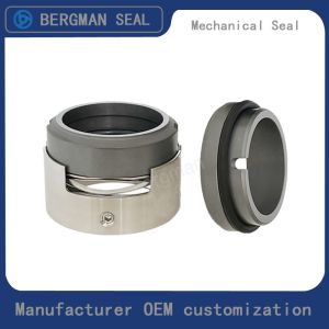 H7N H74 25mm-100mm G60 G4 G6 G9 G13 G16 BS Bo BP Pump Mechanical Seal