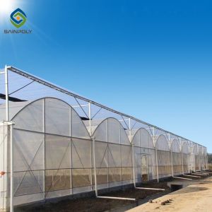 Buy cheap Elasticity 2.5mm  120km/H Multi Span Film Greenhouse from wholesalers