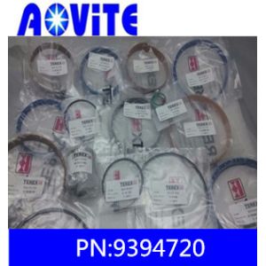 China Terex overhaul kit 93294720 for hoist cylinder 15248543 on sale
