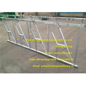 Buy cheap 3mm Thickness Dairy Farms Cattle Headlock For Cows With 4 Dairy Cows Locking product