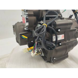 Fit ATV UTV Tricycle Motorcycle Engine Assembly for DAYANG LF 300cc Water Cooled