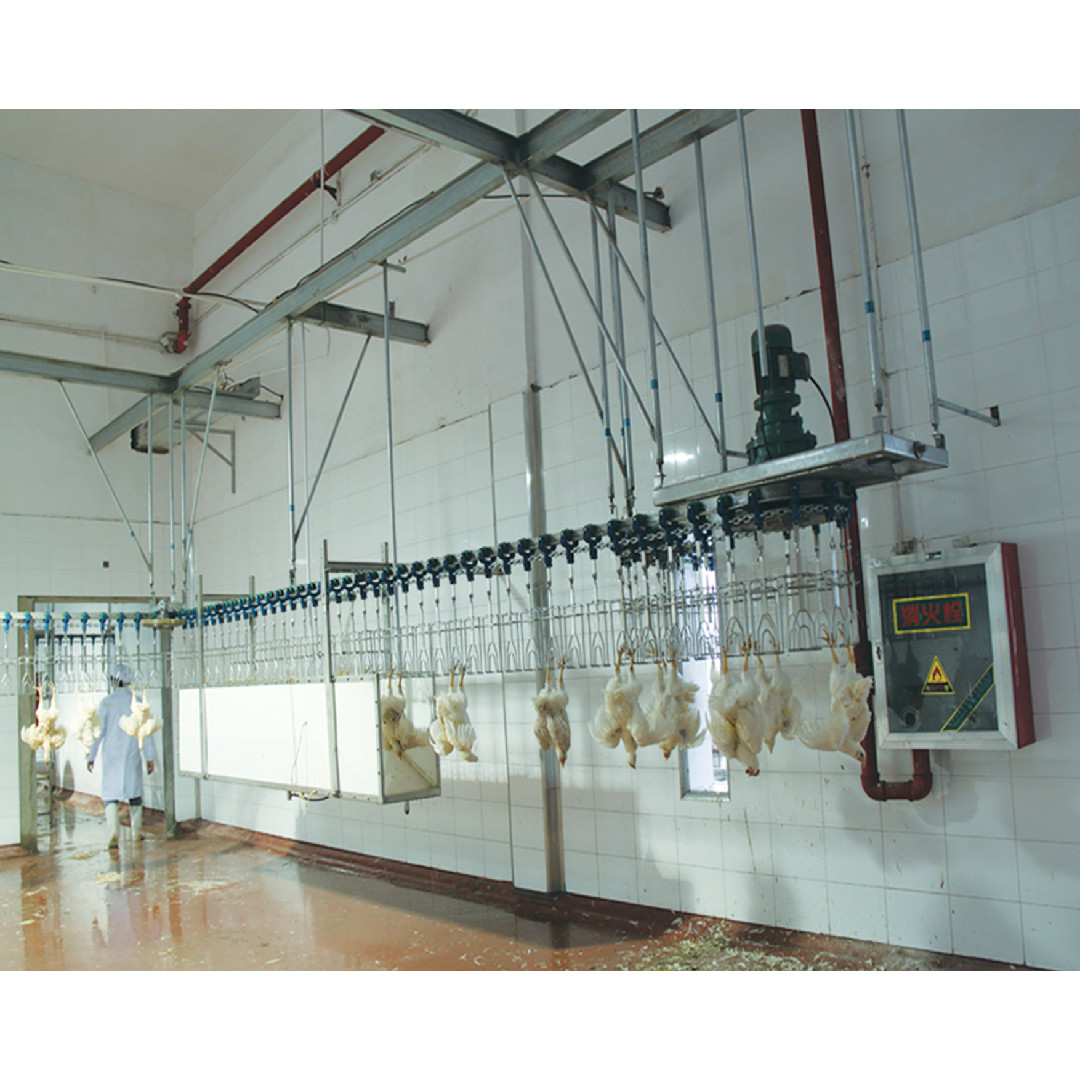 Buy cheap 800bph - 2000bph Chicken Automatic Slaughtering Machine Broiler Processing product