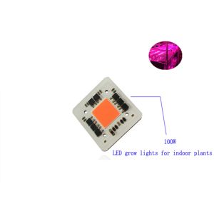 Buy cheap High Efficiency Driverless 100W AC220v 380-780nm COB Led Full Spectrum Grow Light Chip for Led Plant Growing Light from wholesalers