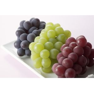 Good Quality Polyphenols Extracted from Vitis Vinifera Seed (Vitis vinifera L)