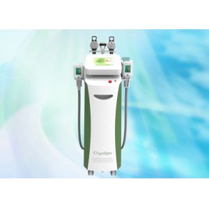 1800w Coolsculpting | Cryolipolysis Slimming Machine With 2 Handles
