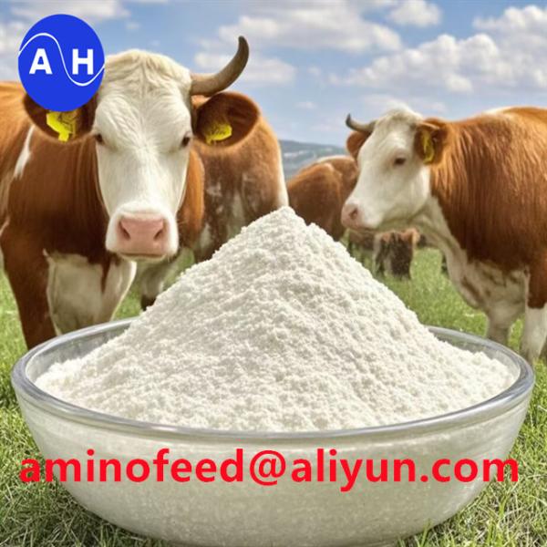 Amino Acid Feed Mineral Proteinate Chelated Iron 18% For Animal Nutrition