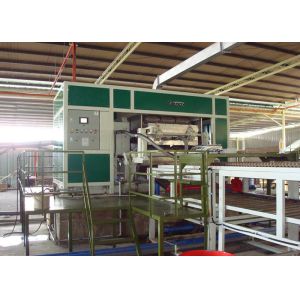 Full Auto Rotary Egg Tray Machine 3000pcs per hour / Energy Recycling Egg Carton