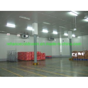 Buy cheap Small Walk in Freezer/Chiller for Vegetables Fruits Refrigerant Freon Cold Storage Room from wholesalers