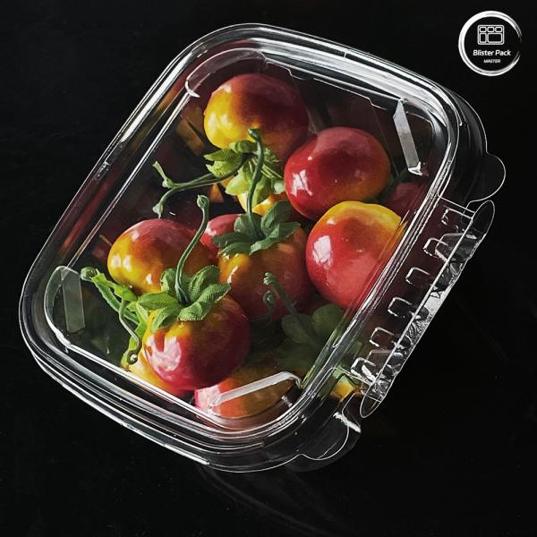 Buy cheap Eco Friendly 16 & 24 Oz Salad Containers with Attached Lids Disposable for Fresh Produce from wholesalers