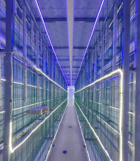 Buy cheap Mobile Mushroom Cultivation Container Farm with 5000-Bag Capacity from wholesalers