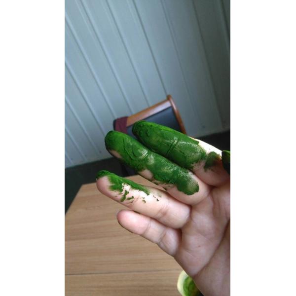 Quality High quality Organic  Heterotrophic Chlorella powder for sale