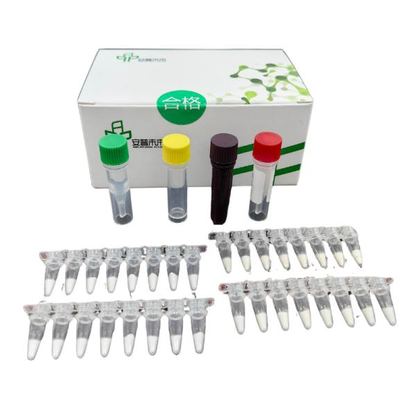 Buy cheap High Sensitivity Listeria Monocytogenes Test Kit With D-Loop Region And Real Time Monitoring from wholesalers