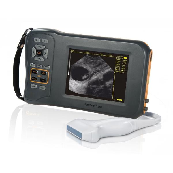 Buy cheap Monochrome Display Veterinary Ultrasound Scanner L60 With 32 Digital Channels from wholesalers