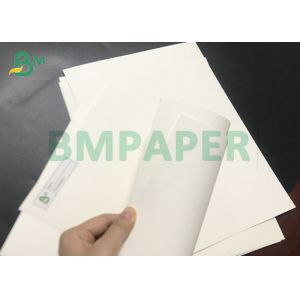 AAA Grade 150gsm to 330gsm 1S / 2S Polyethylene Coated Bleached Cup Carton